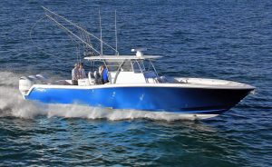 blue hull invincible fishing boat